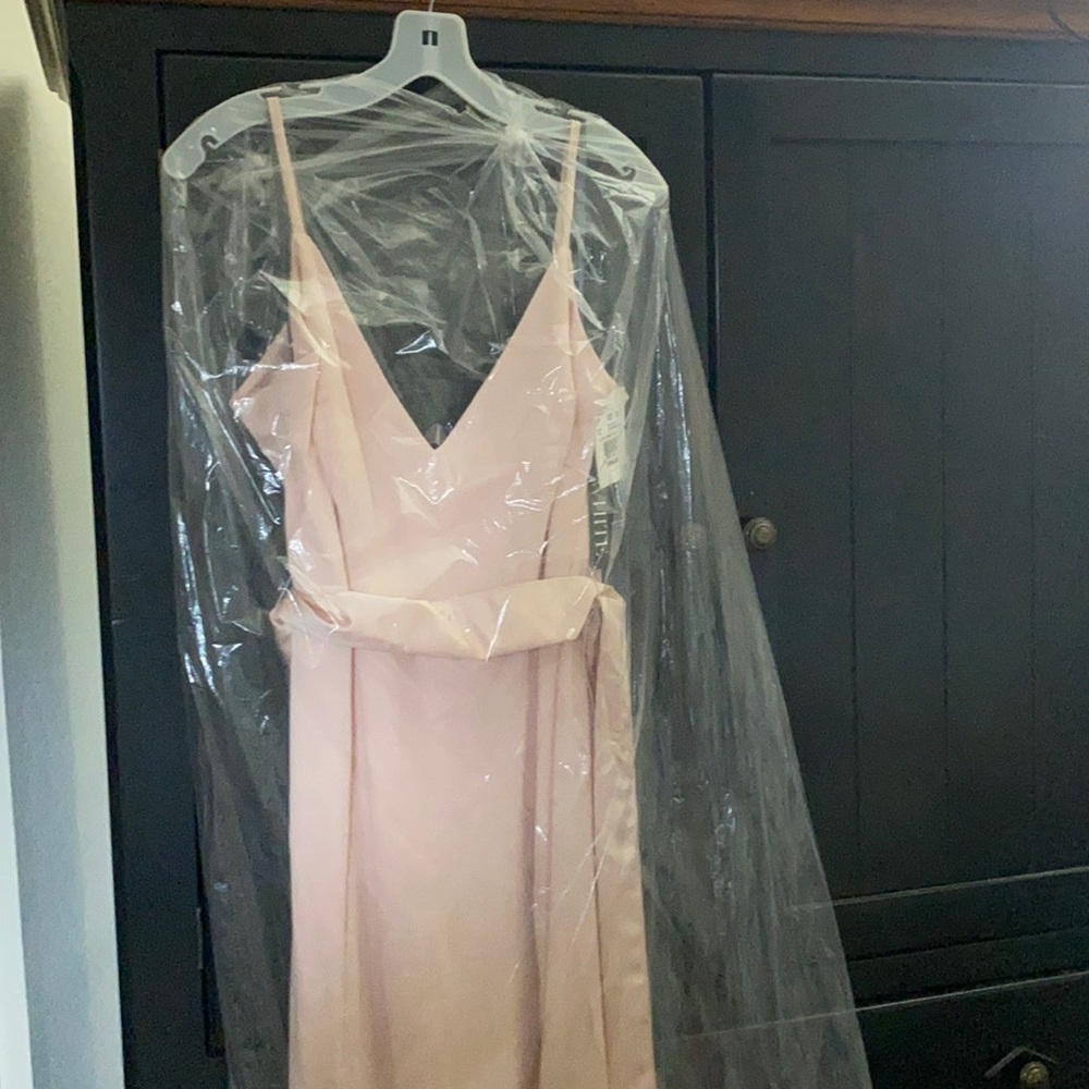 Blush Vera wang dress